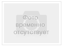 Фильтр воздушный для двигателя  173F/177F (элемент)